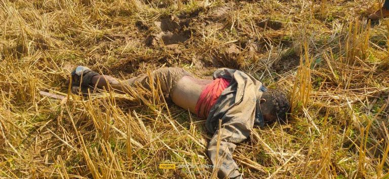 Chaibasa News : आनंदपुर : हाथी ने युवक को दौड़ाकर कुचला, मौत
