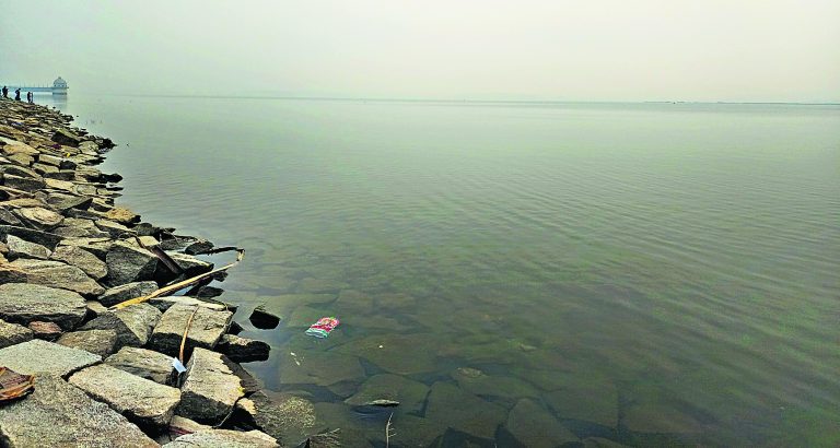 Ranchi News : कोहरे के कारण हो रही सड़क दुर्घटनाओं को रोकें : डीजीपी