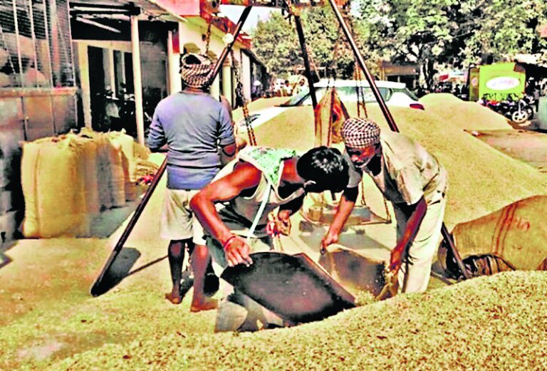 Deoghar News : आज से शुरू होगी धान की खरीदारी, बनाये गये 31 केंद्र : डीसी