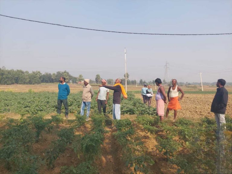 वैज्ञानिक व प्रसार कर्मी ने खेतों में फसल रोग उपचार की दी जानकारी