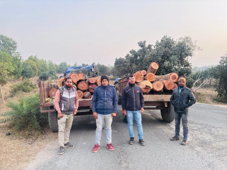 Giridih News: वन विभाग ने जब्त की भारी मात्रा में लकड़ी