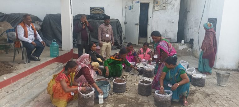 Samastipur News :मशरूम उत्पादन का किया गया प्रायोगिक वर्ग