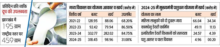 Animal Farming News : चार साल से नहीं मिल रहा सप्लायर, दूध की उपलब्धता घटी