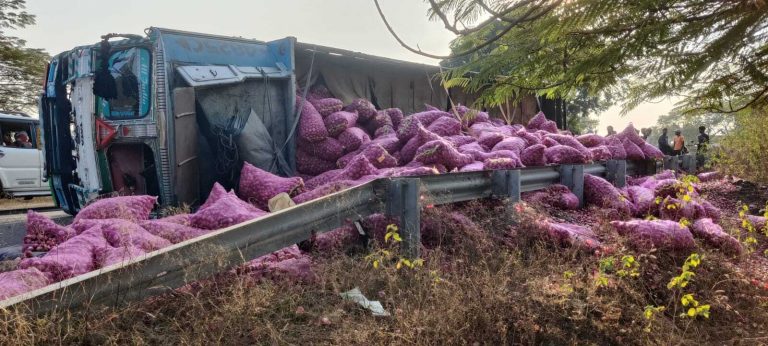 प्याज लदा ट्रक पलटा, उपचालक घायल