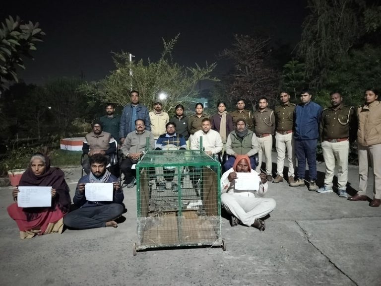 Darbhanga News : मनीगाछी में मगरमच्छ के आठ बच्चों के साथ तीन तस्कर गिरफ्तार