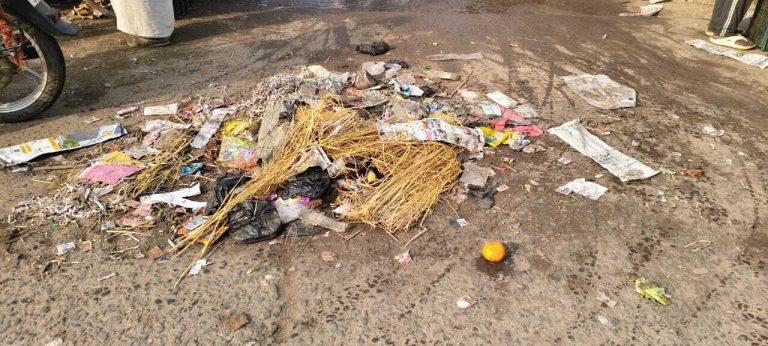 गली, मोहल्लों सहित बाजारों में कचरों का ढे़र