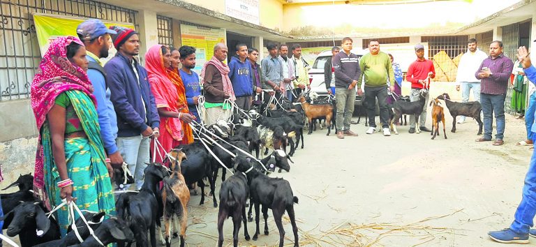 hajipur news. बकरी एवं भेड़ विकास योजना में सामान्य कैटेगरी को 80% व एससी-एसटी को 90% अनुदान