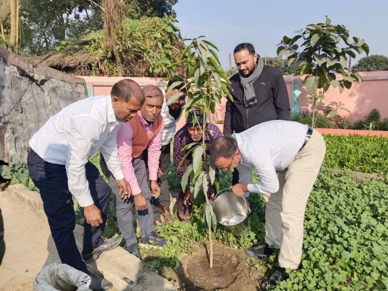 जिला शिक्षा पदाधिकारी ने किया पौधरोपण