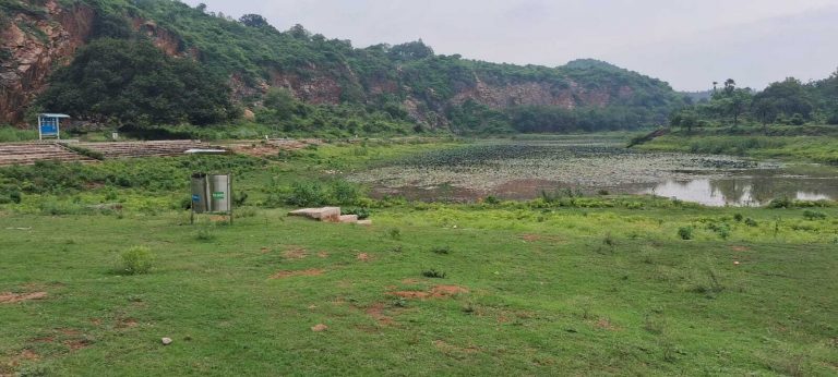 प्रकृति के संग करें नये साल की शुरूआत