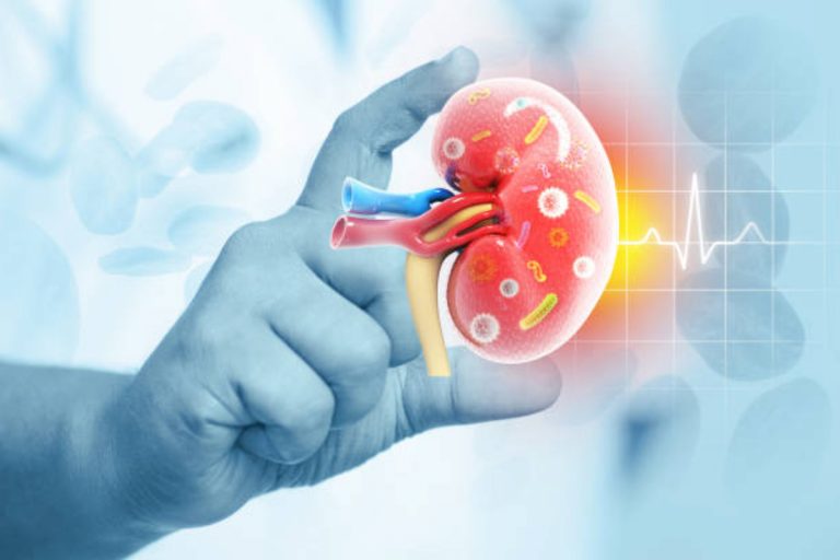 Hydronephrosis: मां के गर्भ में ही शिशु की किडनियां हो रही हैं खराब, जानें क्या उपाय बताते हैं डॉक्टर