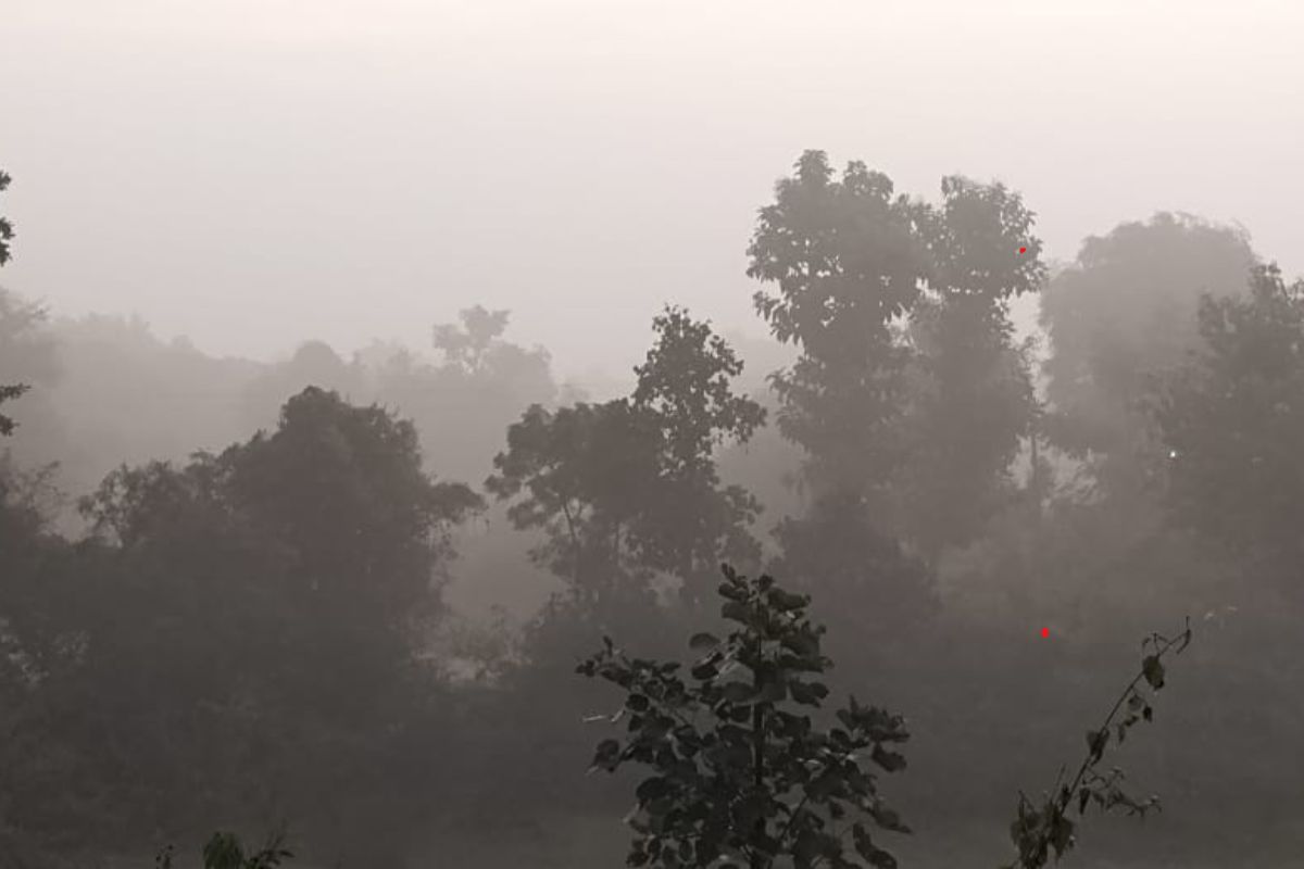 सुबह में छाया कोहरा