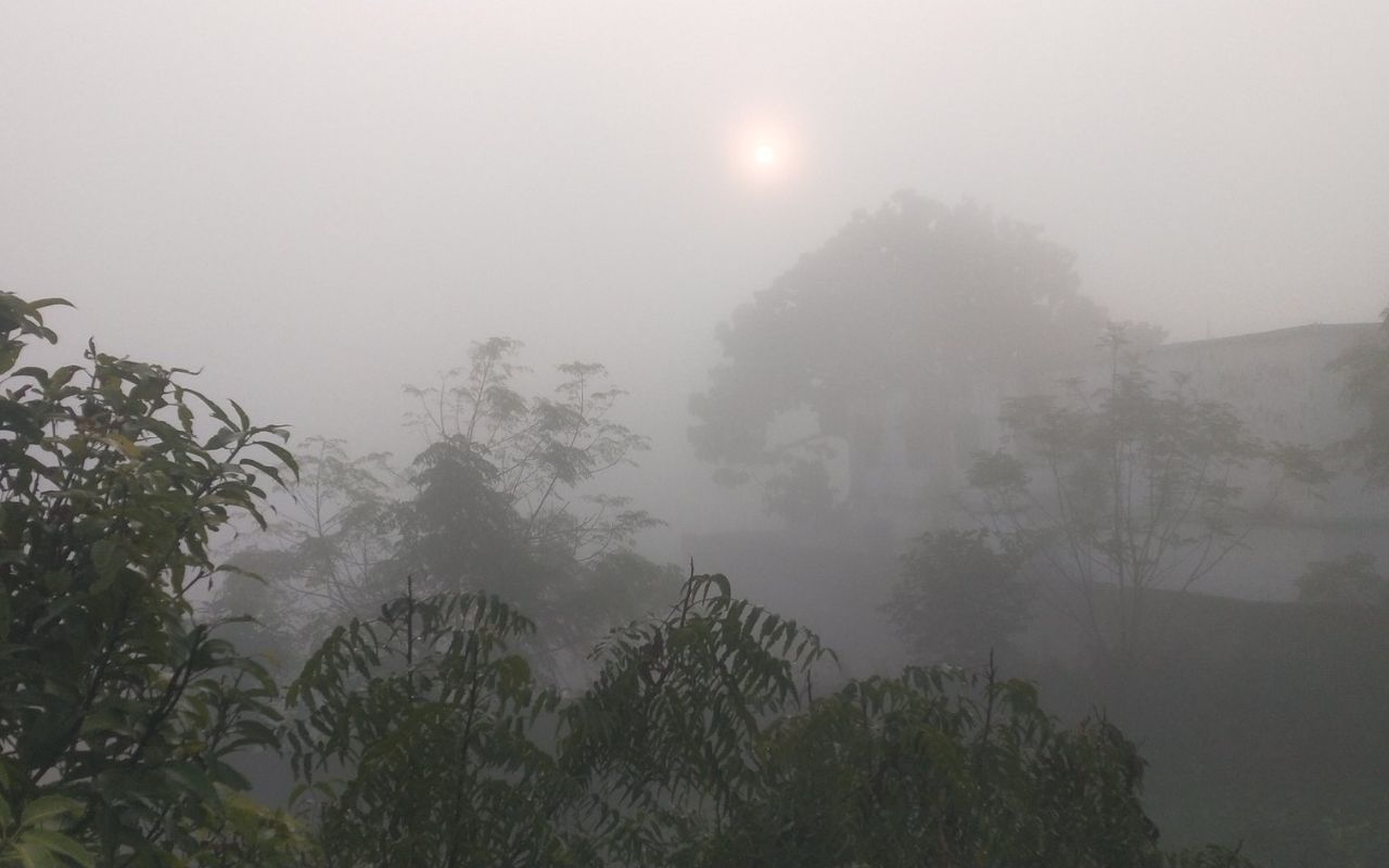 सुबह के समय आसमान में छाया कोहरा