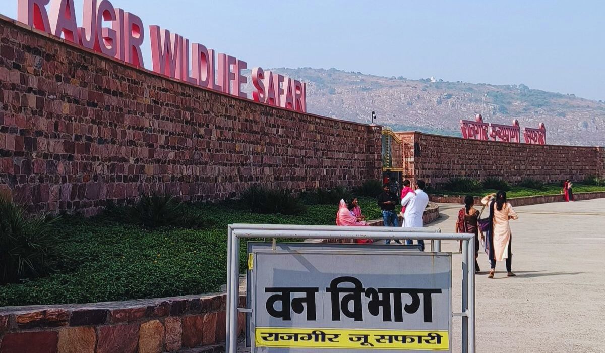 rajgir tourism| Rajgir's Zoo Safari and Nature Safari will remain closed on New Year