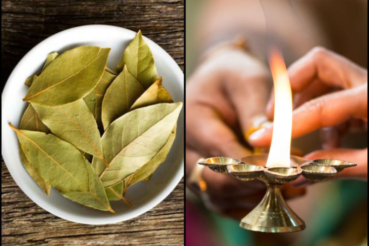 Bay Leaves Health Benefits