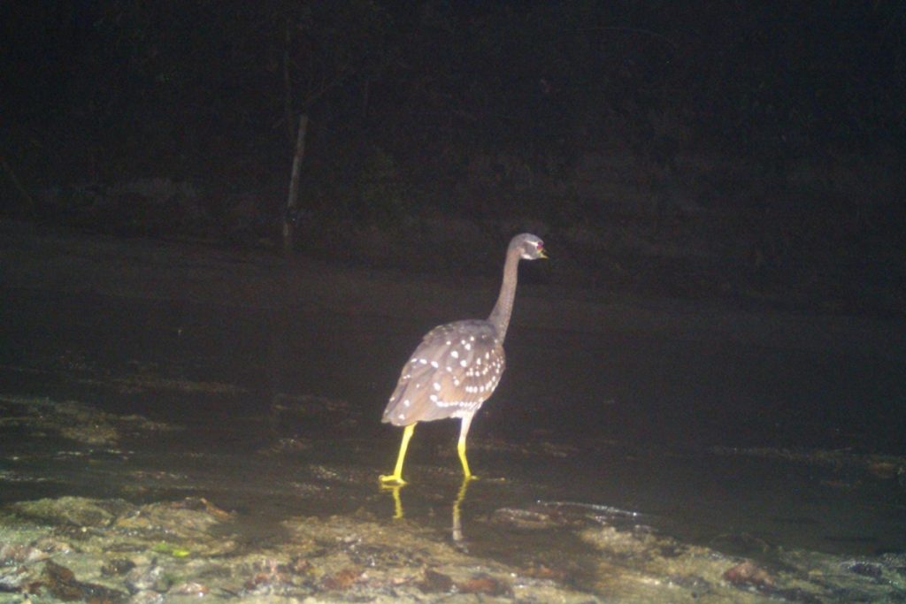 an image