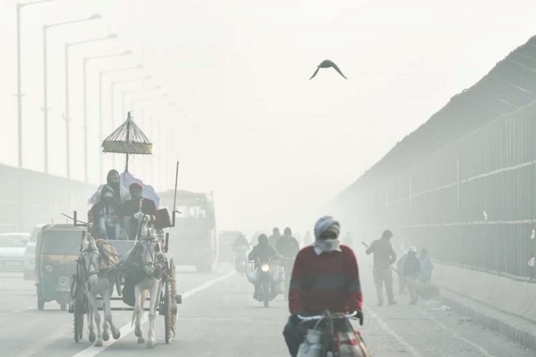 उत्तर भारत में कड़ाके की ठंड और कोहरे का कहर, नॉर्थ ईस्ट में भारी बारिश और ओलावृष्टि का अलर्ट