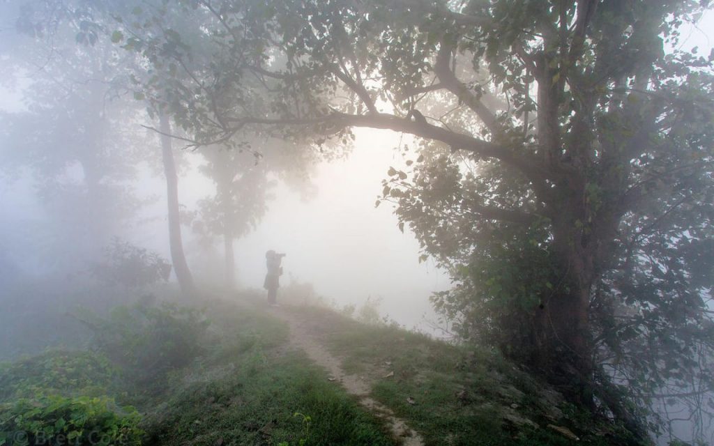 an image
