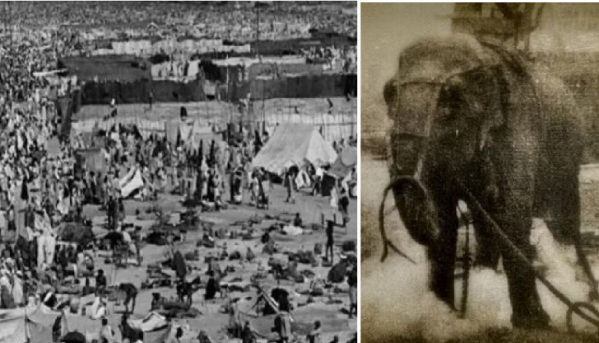Mahakumbh Stampede
