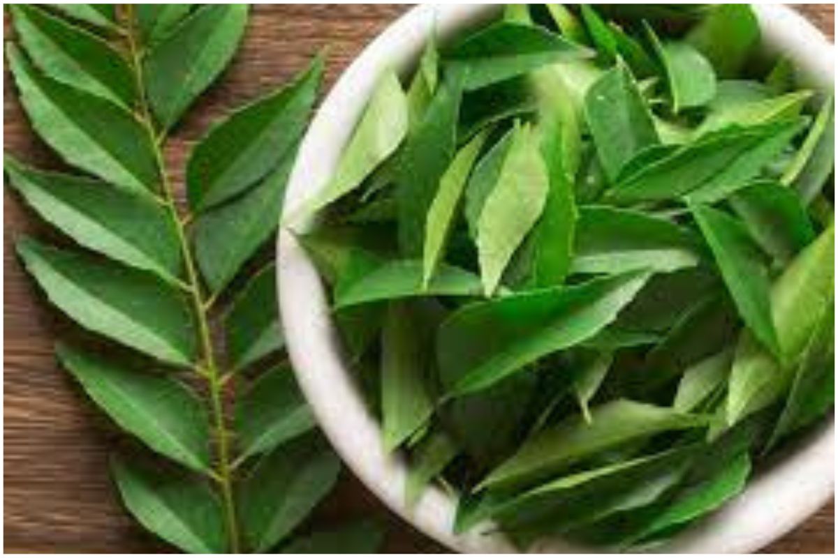 Curry leaves