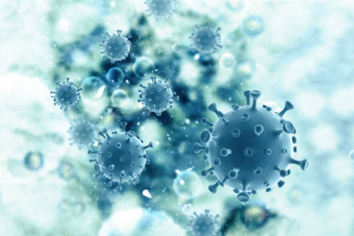 HMPV Virus