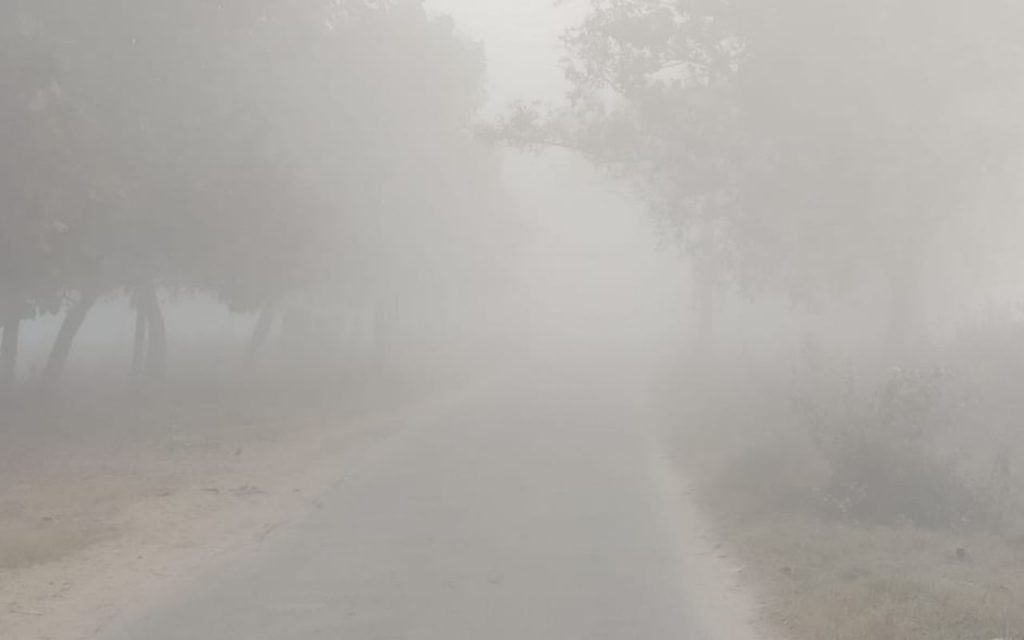 an image