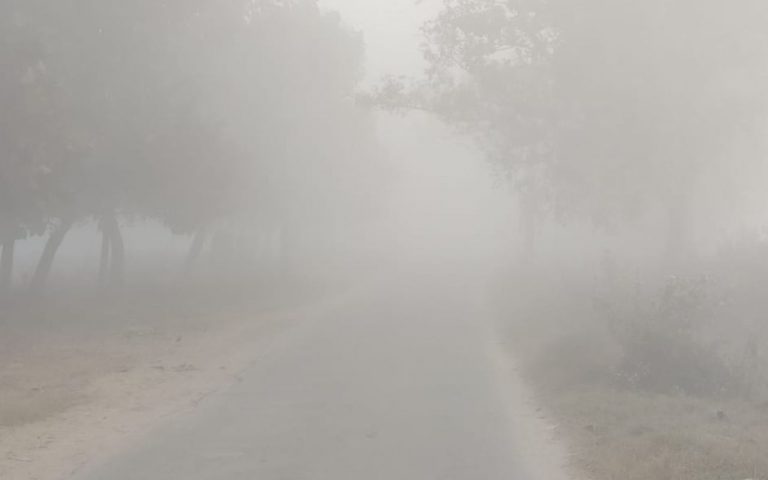 उत्तर भारत से आ रही ठंडी हवाओं और कोहरे ने ढाया कहर, कनकनी बढ़ी, अभी और गिरेगा पारा