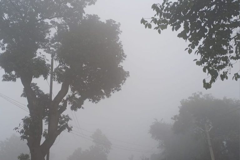 मुजफ्फरपुर में हाड़ कंपा देने वाली ठंड, शीतलहर और कोहरे ने बढ़ाई मुश्किलें