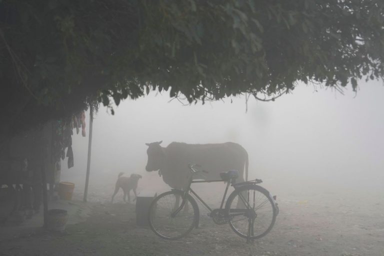 Bihar Weather: बिहार में इस दिन से फिर होगी बारिश, IMD ने शेयर किया कब पड़ेगी कड़ाके की ठंड