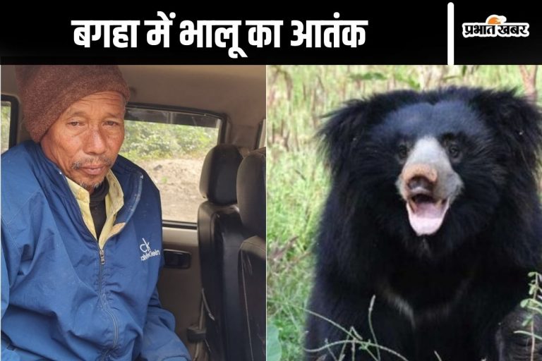 Bear Attack: शावक के साथ बैठी मादा भालू ने किसान पर किया हमला, इलाके में मचा हड़कंप