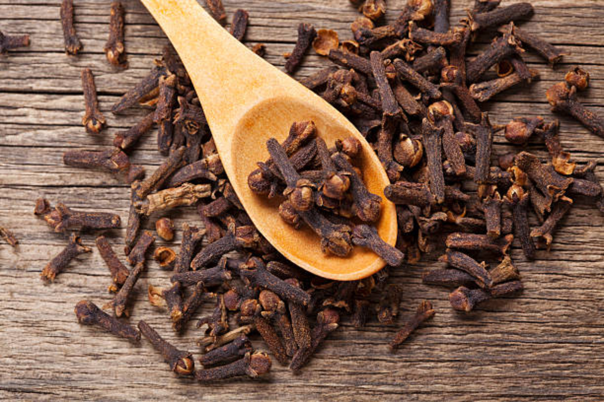 benefits of chewing clove at night