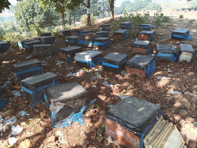 मधुमक्खी पालन कर आत्मनिर्भर बना एक मजदूर, अब दूसरों को कर रहा प्रेरित