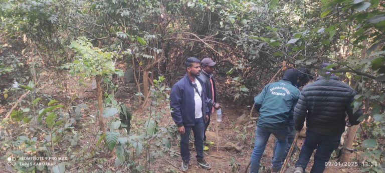 Saraikela News : बालीडीह में मिले बाघ के पंजों के निशान, दूसरी जगह लगेंगे कैमरे
