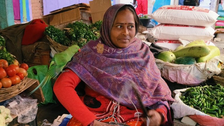 पिंजरे से आजाद तोता जमीं पर भर रहा स्वामिभक्ति की उड़ान