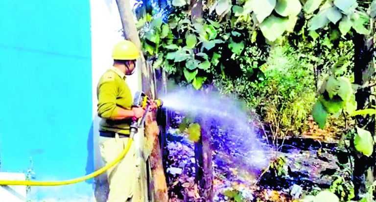 दुर्गापुर : एसडीओ ऑफिस के बगल के जंगल में लगी आग