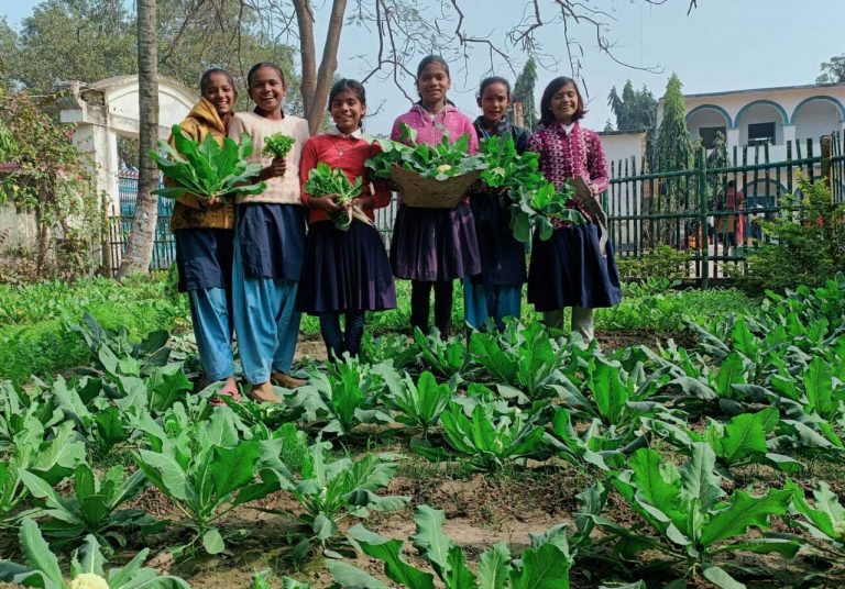 विद्यालय में पोषण वाटिका का निर्माण कर उगाया जा रहा मौसमी सब्जी