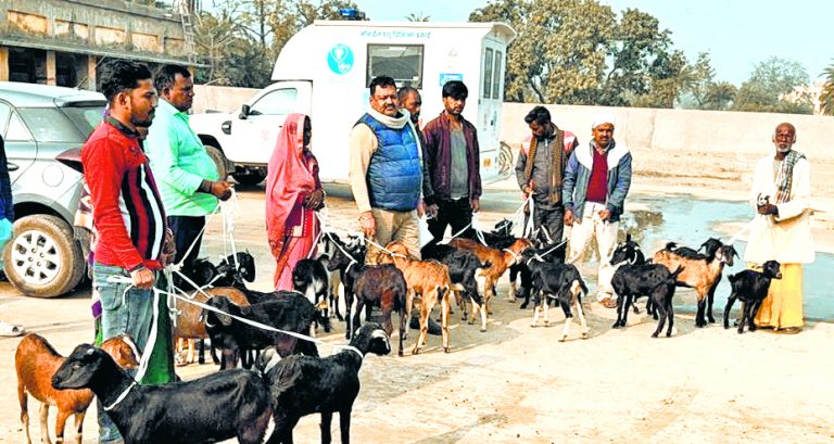 hajipur news. 27 लाभुकों को अनुदानित दर दी गयी उन्नत प्रजाति की बकरियां