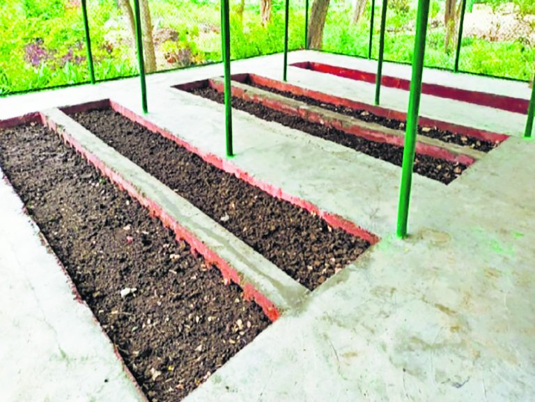 Buxar News: जिले में बनेंगे 346 पक्का वर्मी कंपोस्ट यूनिट और दो बायोगैस प्लांट