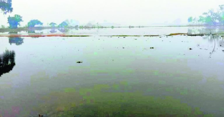 Buxar News: जलजमाव से 72 घंटे में नहींं मिली निजात, तो होगा अंदोलन