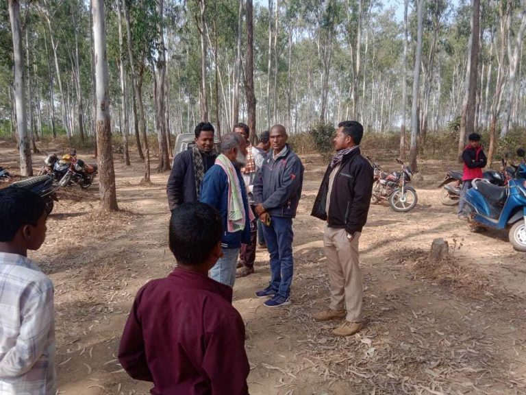 Chaibasa News : पट्टाजैंत जंगल से हाथी का शव बरामद, दांत गायब