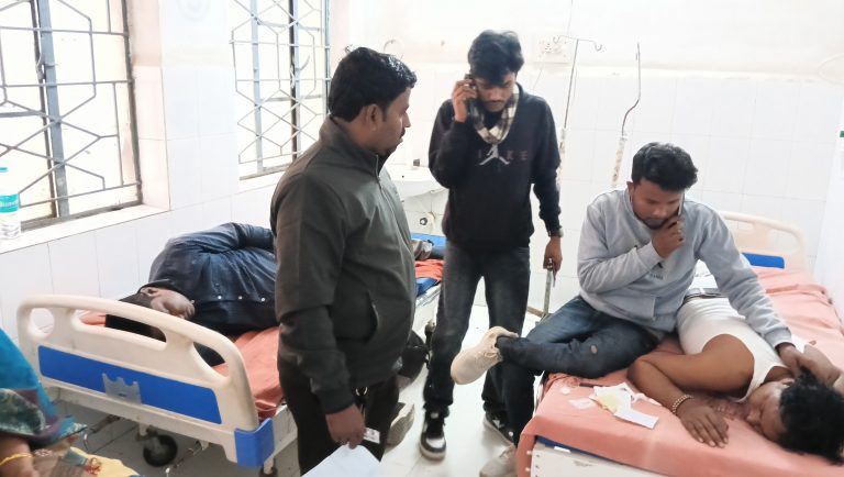 बारसोई में मधुमक्खी का प्रकोप, दो दर्जन से अधिक लोगों घायल