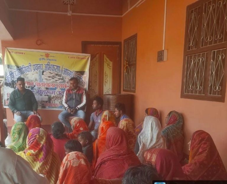 कम जगह में कर सकते हैं मशरूम की खेती