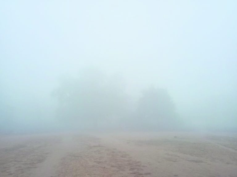 कुहासे से पटा रहा आसमान, ठंड से लोग रहे बेहाल