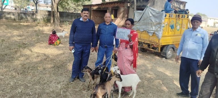 15 लोगों को मिला सीएम पशुधन योजना का लाभ