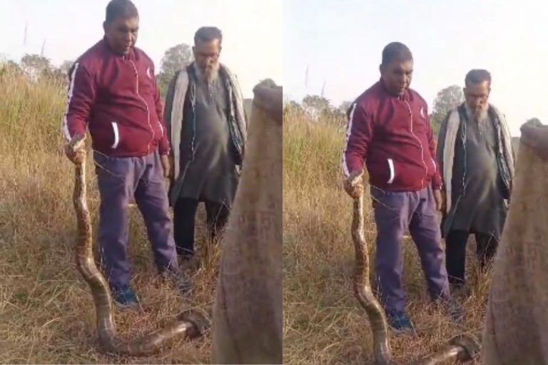 Bihar News: बगहा के खेल मैदान में अचानक आया 12 फीट लंबा अजगर, लोगों में मची खलबली, देखें वीडियो