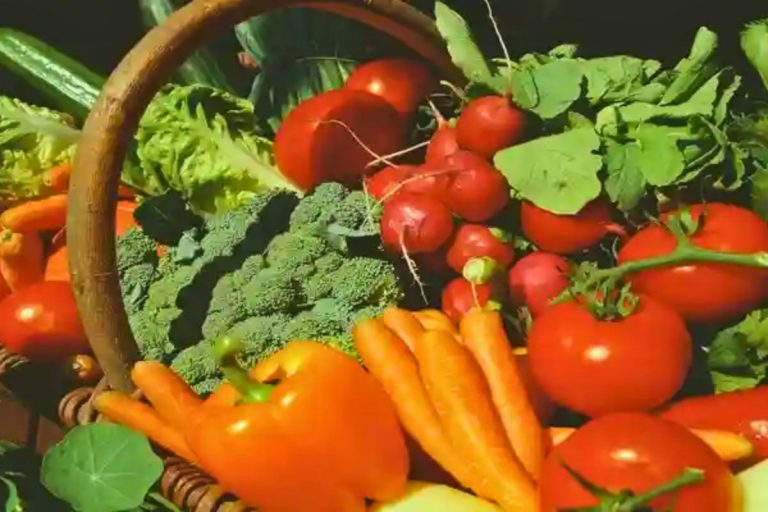 10 Tips to Buy Fresh Vegetable: सब्जी खरीदते समय इन 10 बातों का रखें ध्यान- हाथ नहीं पड़ेगा खराब माल