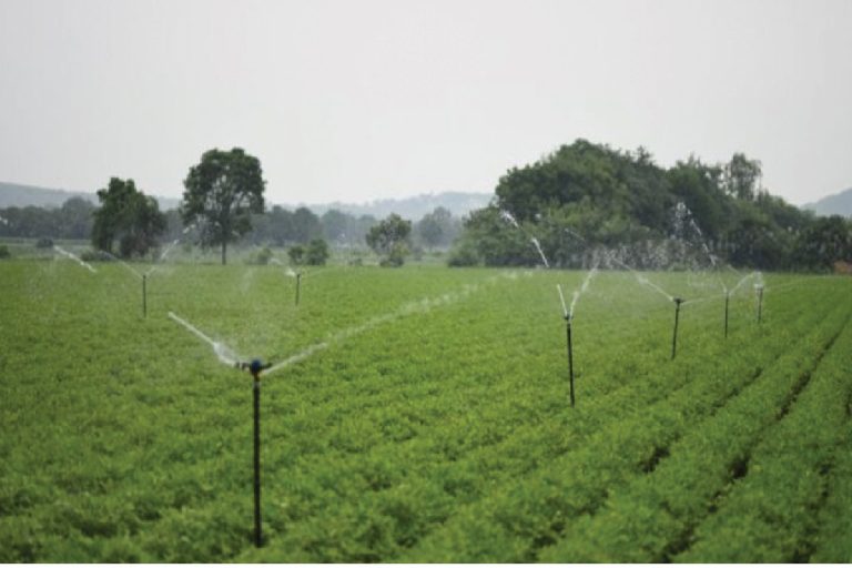Agriculture: जीएसटी दरों में बदलाव किसान और कृषि क्षेत्र में साबित होगा वरदान