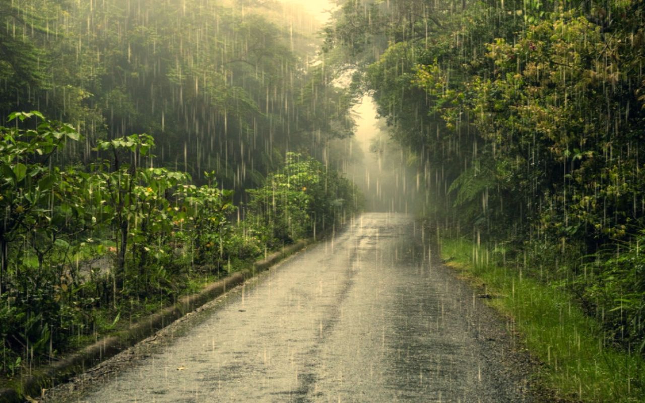 Bihar Rain Alert