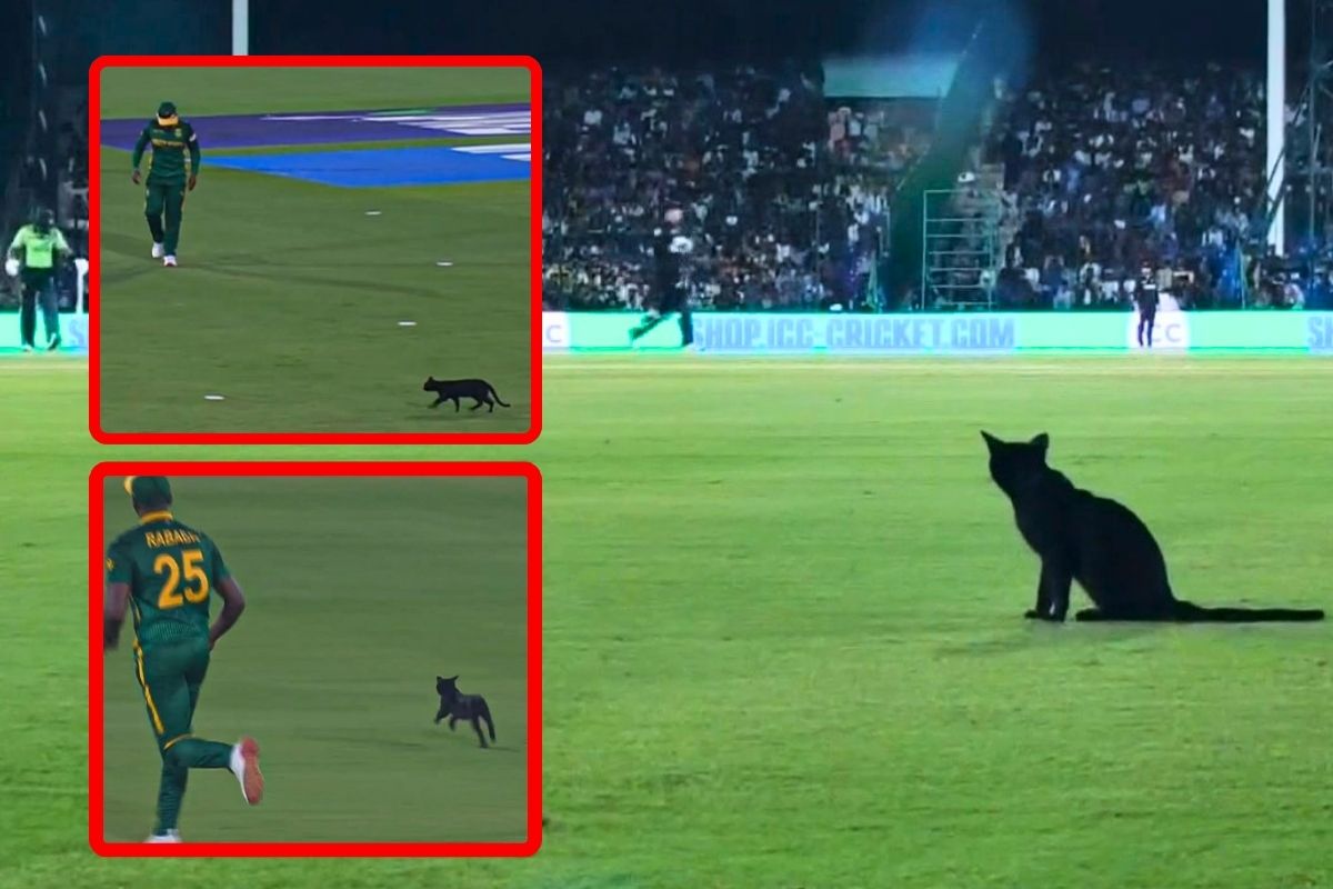 Black Cat in Champions Trophy