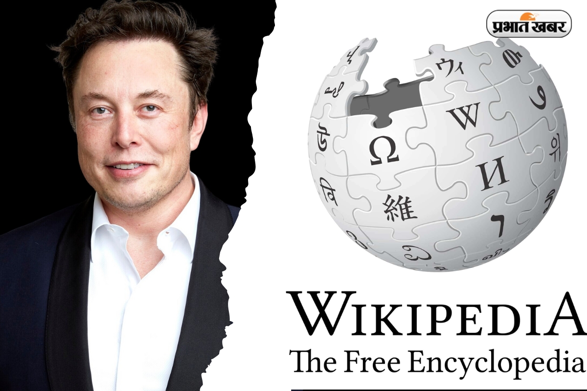 Elon Musk On Wikipedia