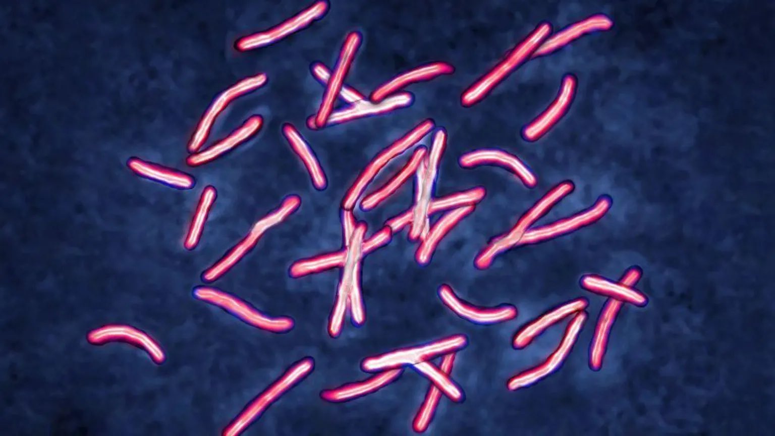 Google AI Solved Superbug Mystery in 48 Hours